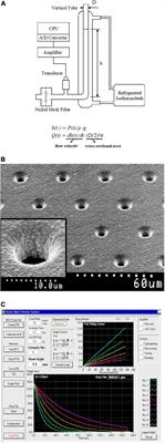 Rheological Abnormalities in Human Erythrocytes Subjected to Oxidative Inflammation